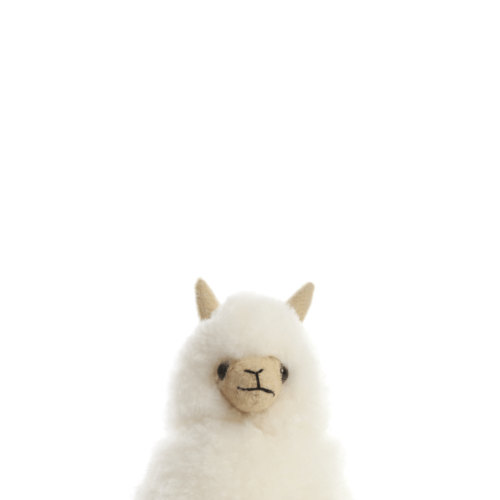 Alpaca Collectables, To Delight Both Children And Adults