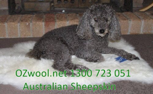 Sheepskin Cat Bed - Sheepskin Dog Bed